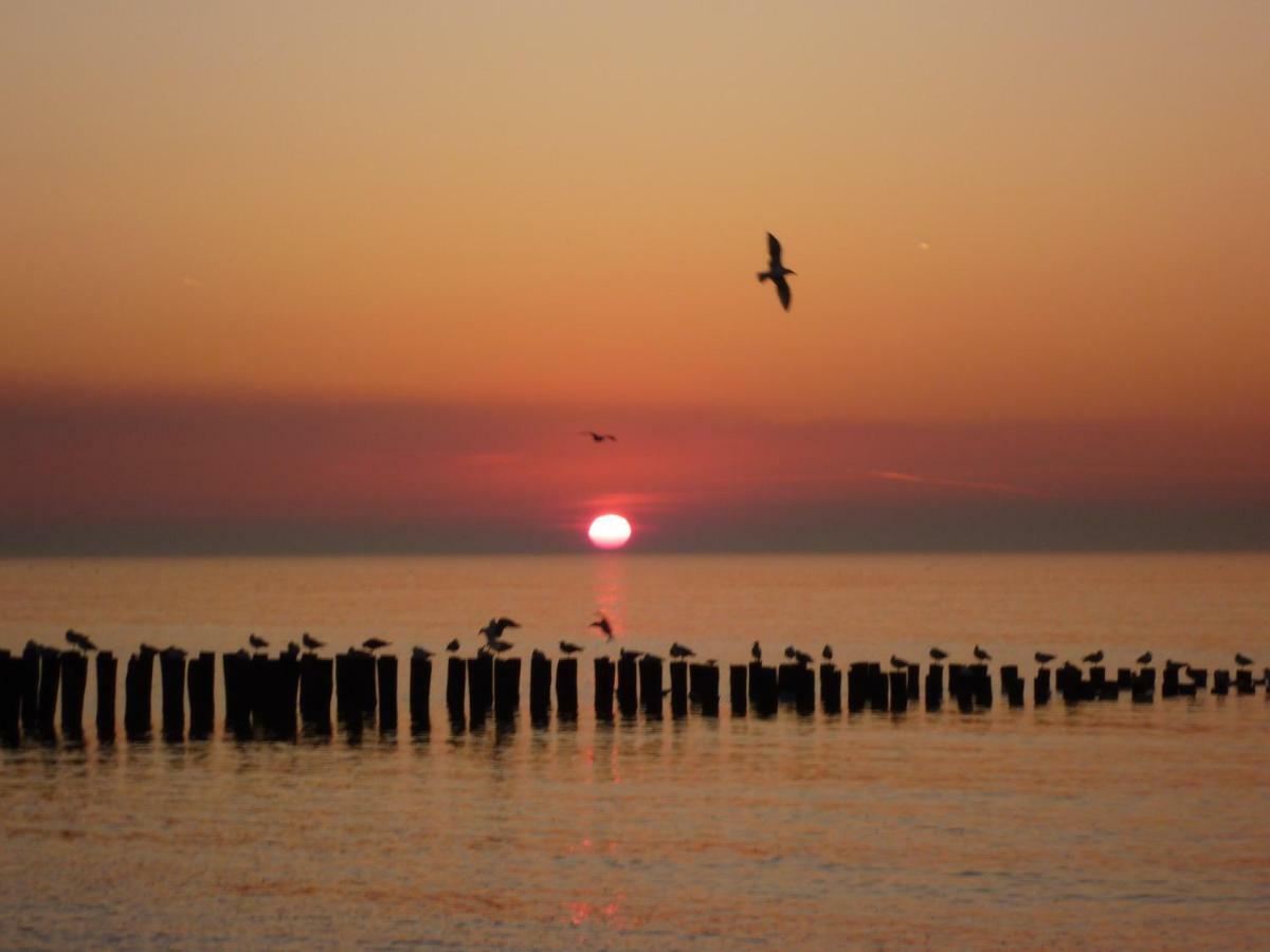 Knusse Vakantiewoning Domburg Do04 Екстериор снимка
